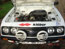 Escort RS 2000 Gr.1 Eichberg EX Hahne