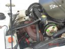 Escort RS 2000 Gr.1 Eichberg EX Hahne