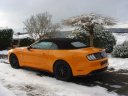 Mustang Cabrio 2018