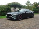 Mustang Bullitt